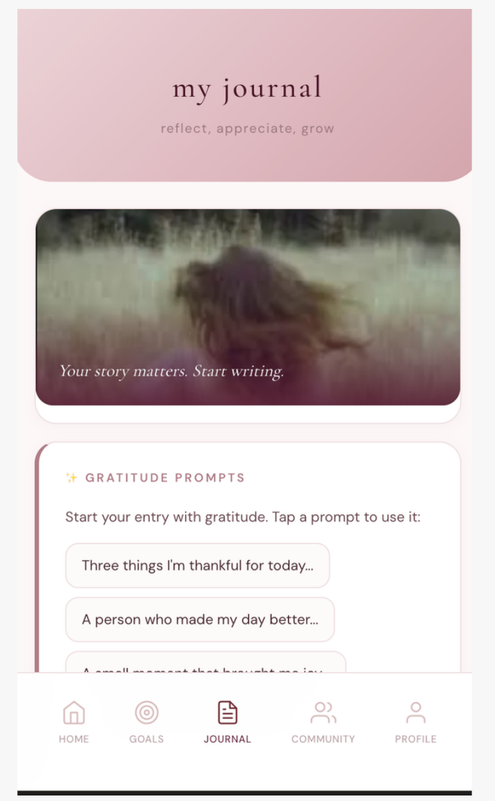 Journal interface